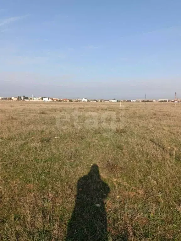 Участок в Крым, Сакский район, Молочненское с/пос, с. Витино  (10.25 ... - Фото 1