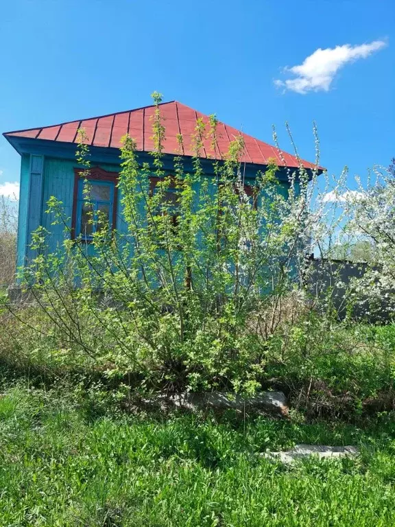 Дом в Саратовская область, Петровск Восточная ул., 1 (75 м) - Фото 0