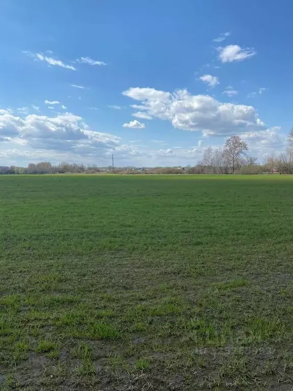 Участок в Московская область, Раменский муниципальный округ, Анюта ТСН ... - Фото 2