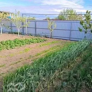 Участок в Крым, Сакский район, Штормовское с/пос, с. Крыловка ул. Мира ... - Фото 2