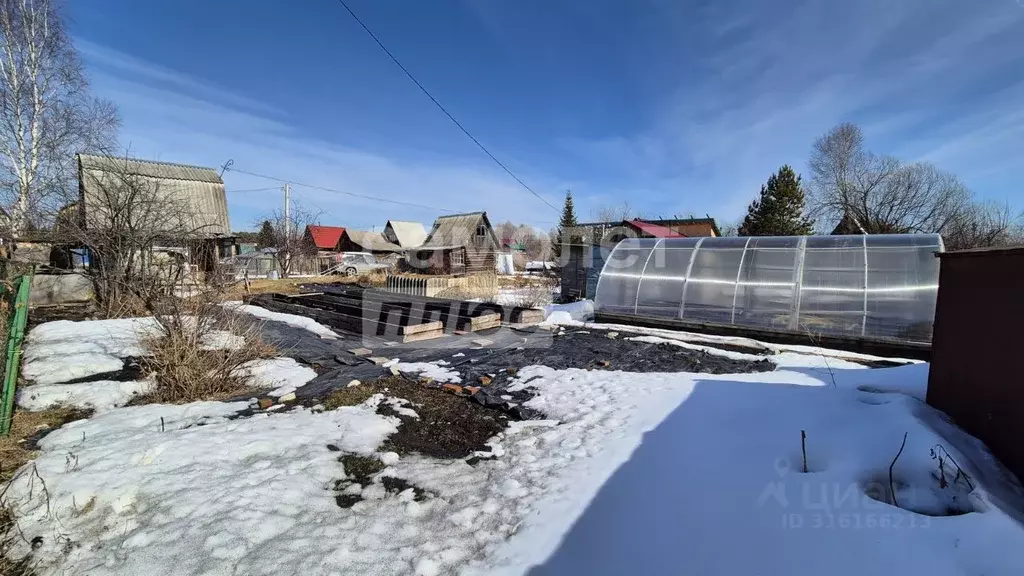 Дом в Новосибирская область, Новосибирск Темп СНТ, аллея Клюквенная ... - Фото 1