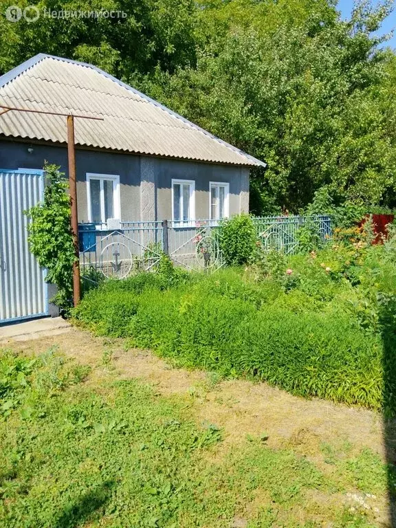 Дом в село Калиновское, улица Глазкова (39 м) - Фото 2