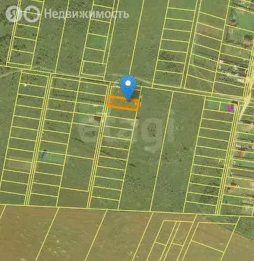 Участок в Красносельский район, Гридинское сельское поселение, деревня ... - Фото 2