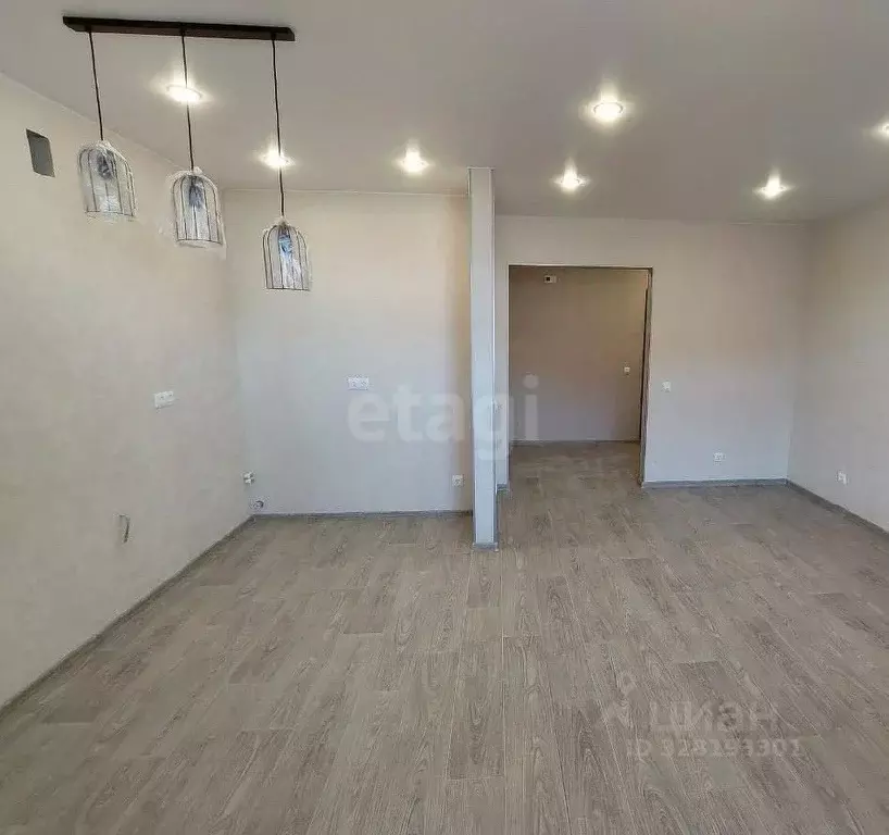 Студия Амурская область, Благовещенский район, с. Чигири ул. ... - Фото 2