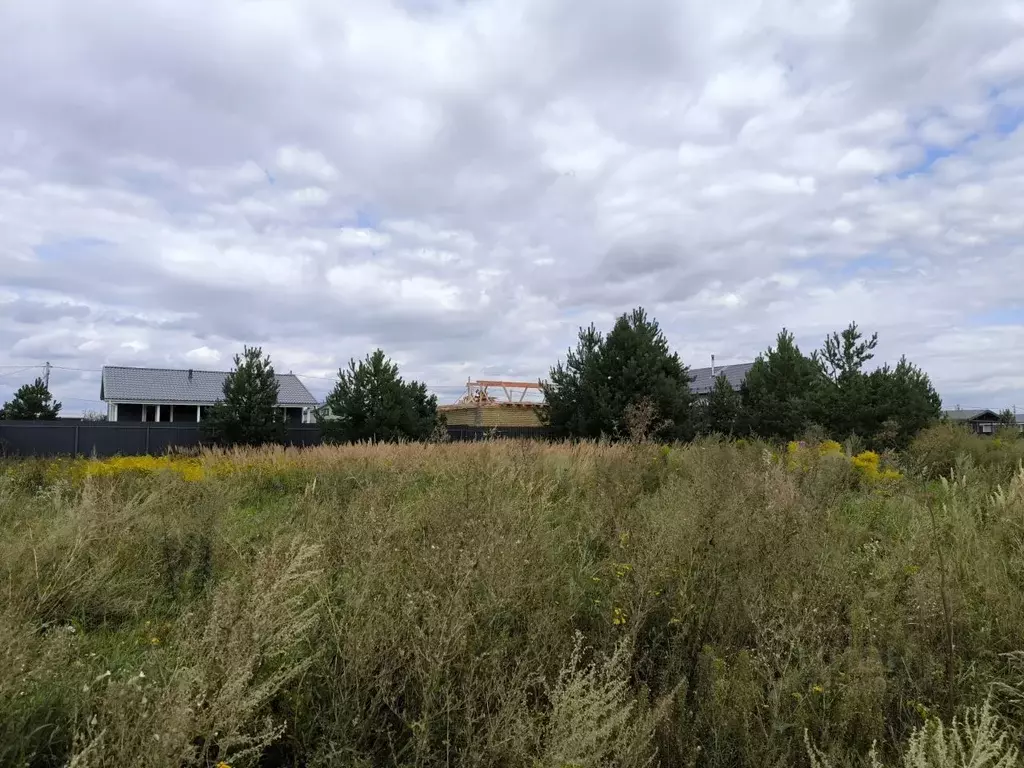 Участок в Московская область, Раменский муниципальный округ, с. Речицы ... - Фото 2