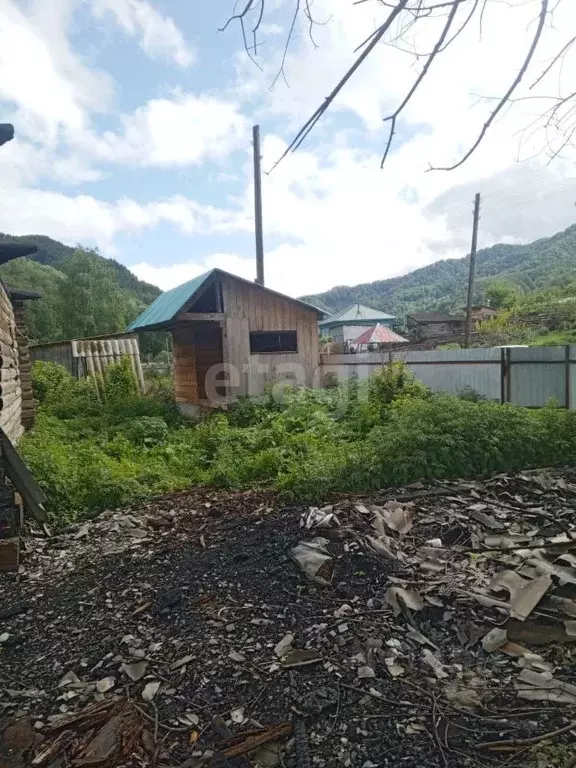 Участок в Алтайский край, Алтайский район, с. Сараса Красноармейская ... - Фото 0