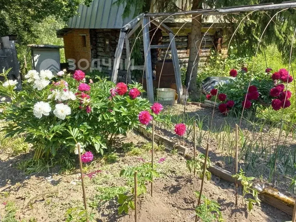 Участок в Чувашия, Чебоксары Мичуринец СНТ, 231/1 (8.05 сот.) - Фото 2