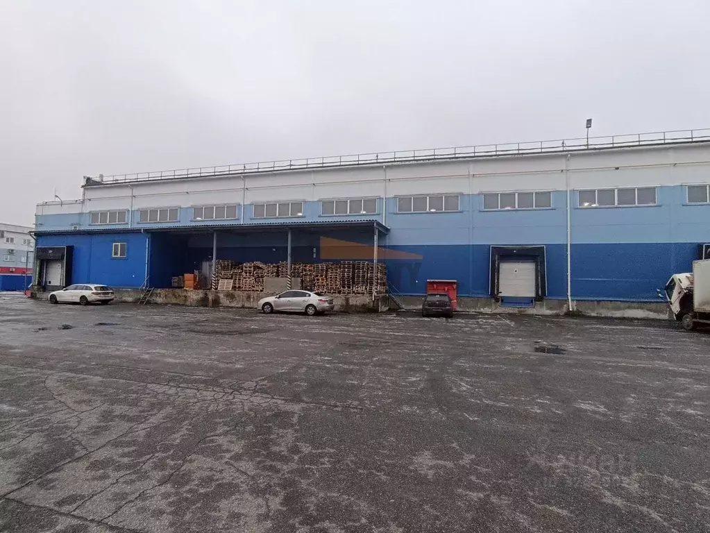 Склад в Московская область, Домодедово Востряково мкр, Триколор тер., ... - Фото 1