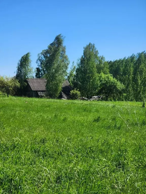 Дом в Псковская область, Островский район, Бережанская волость, д. ... - Фото 1