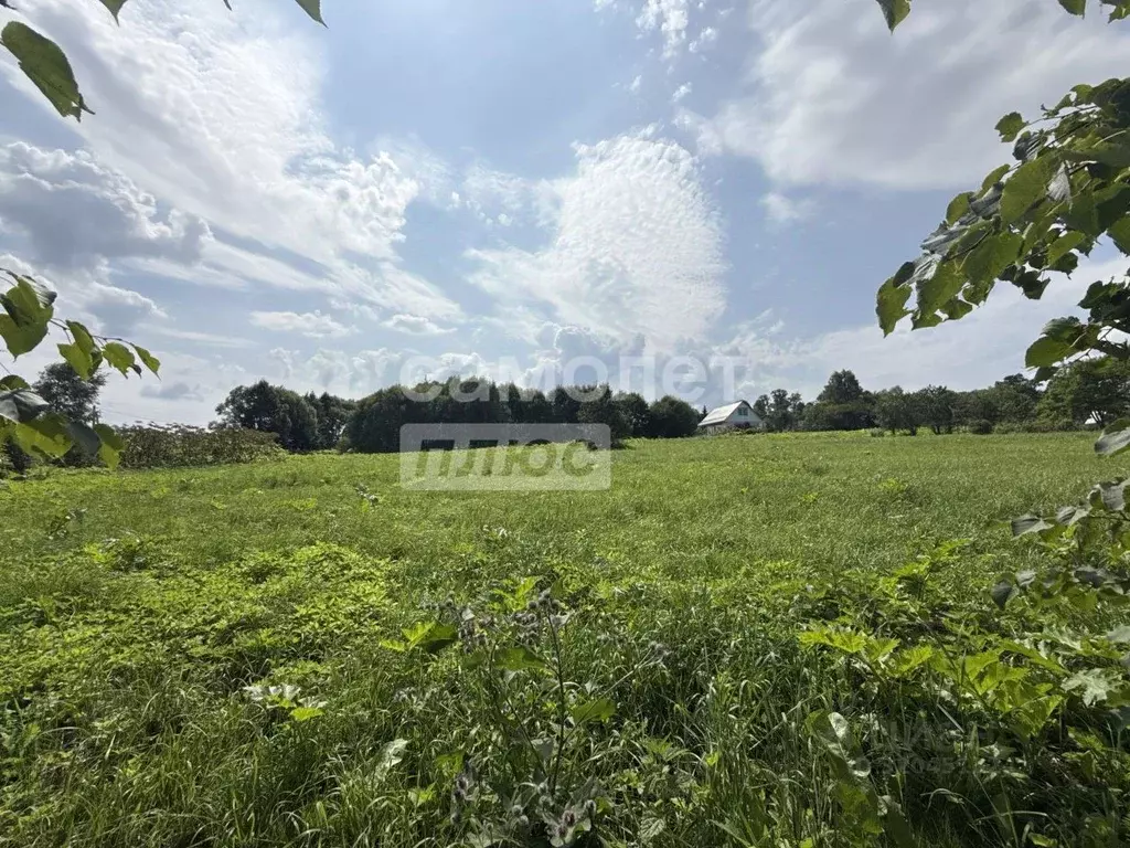 Участок в Калужская область, Малоярославецкий район, Недельное с/пос, ... - Фото 0