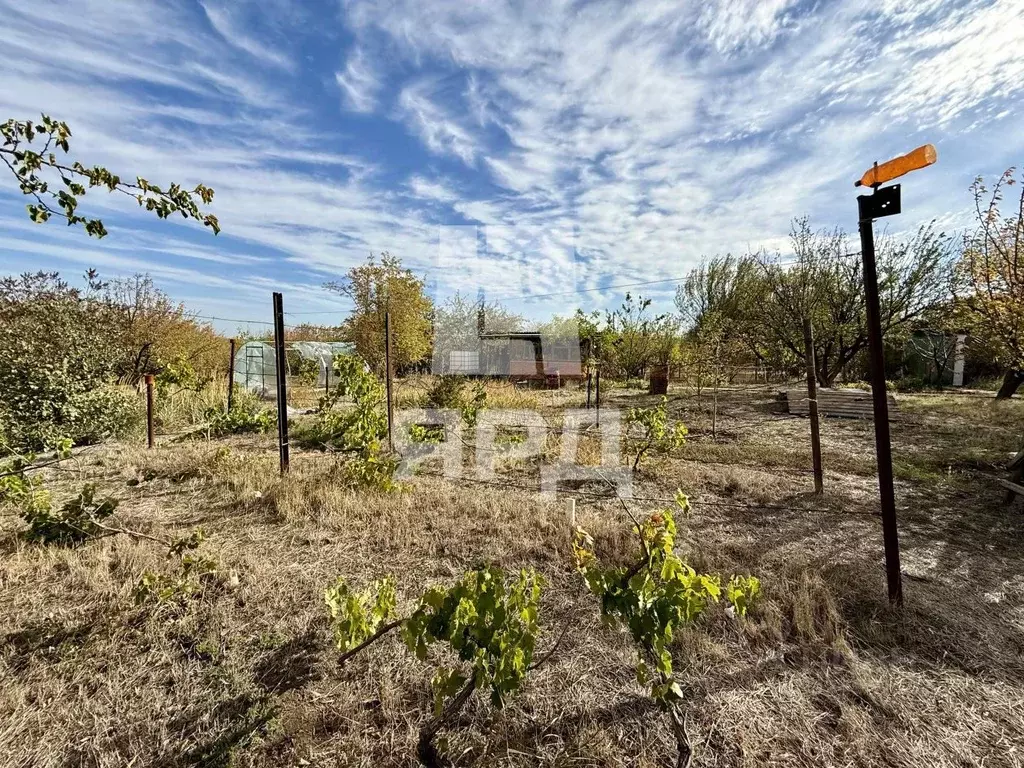 Участок в Ростовская область, Неклиновский район, ... - Фото 1