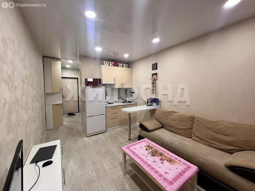Квартира-студия: Новосибирск, улица Виктора Уса, 15 (19.6 м) - Фото 1