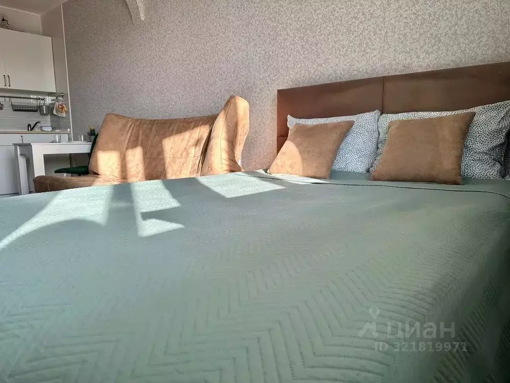 Студия Санкт-Петербург Ленинский просп., 82к1 (30.0 м) - Фото 1