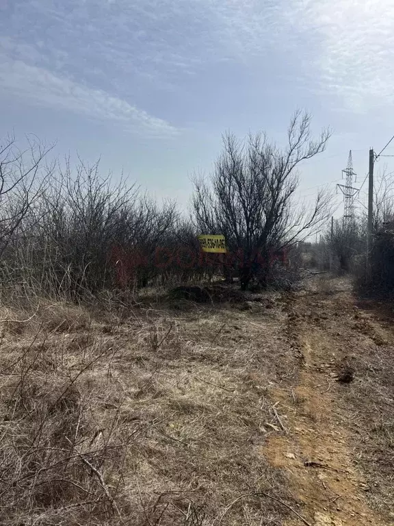 Участок в Ростовская область, Новочеркасск Надежда садовое ... - Фото 1