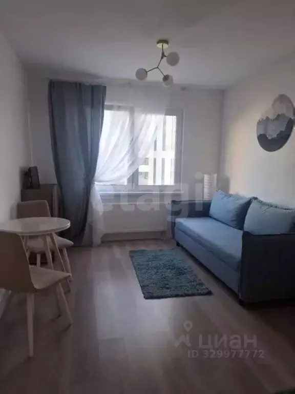 Студия Санкт-Петербург ул. Пахомовская, 14к2 (21.0 м) - Фото 1