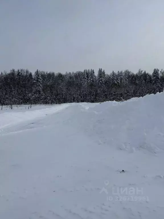 Участок в Московская область, Клин городской округ, с. Нагорное  (5.0 ... - Фото 1