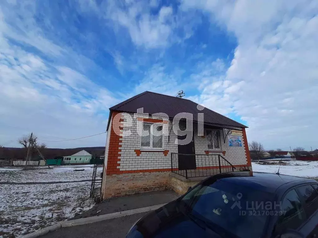 Торговая площадь в Белгородская область, Вейделевка рп ул. ... - Фото 1