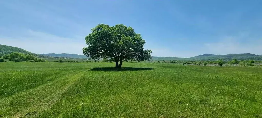 Участок в Севастополь с. Орлиное, ул. Урожайная (170.0 сот.) - Фото 1