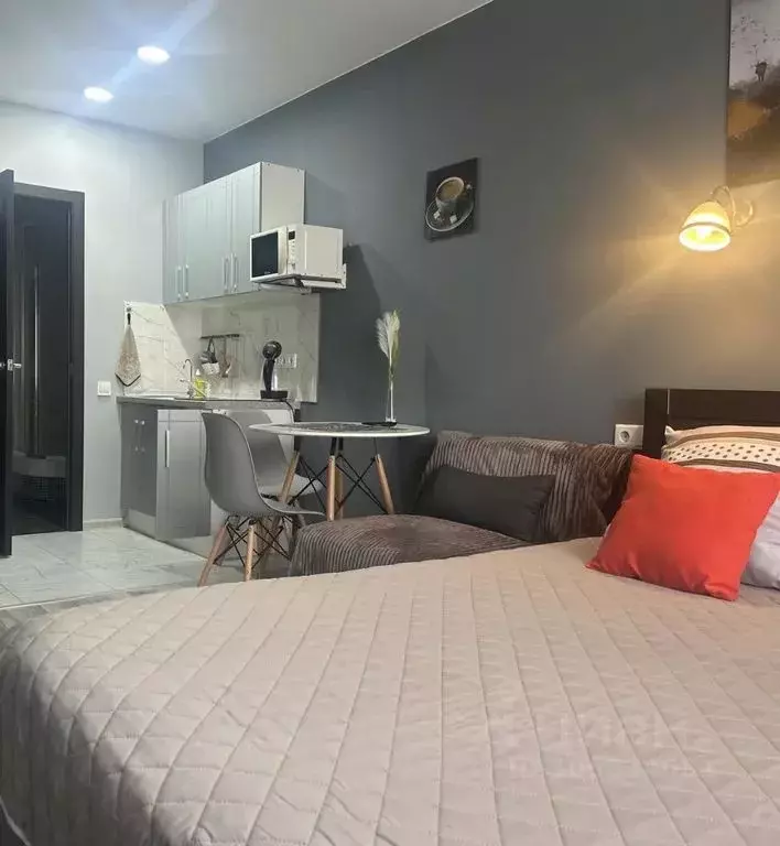 Студия Хабаровский край, Хабаровск ул. Пушкина, 58 (24.0 м) - Фото 2