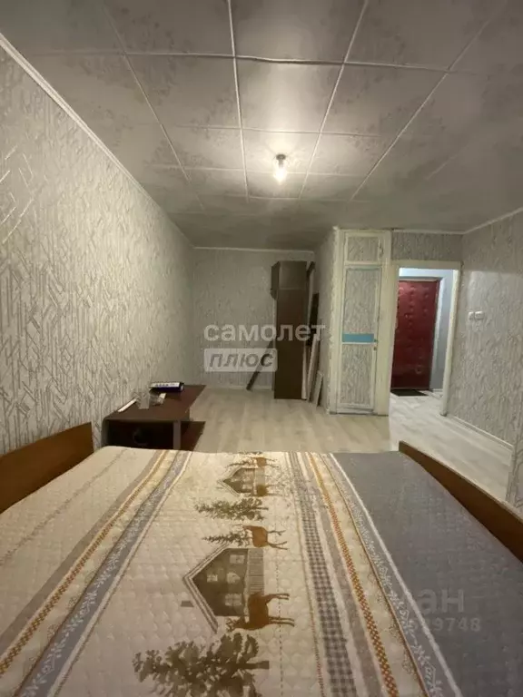 1-к кв. Самарская область, Сызрань Некрасовский пер., 5 (30.0 м) - Фото 1