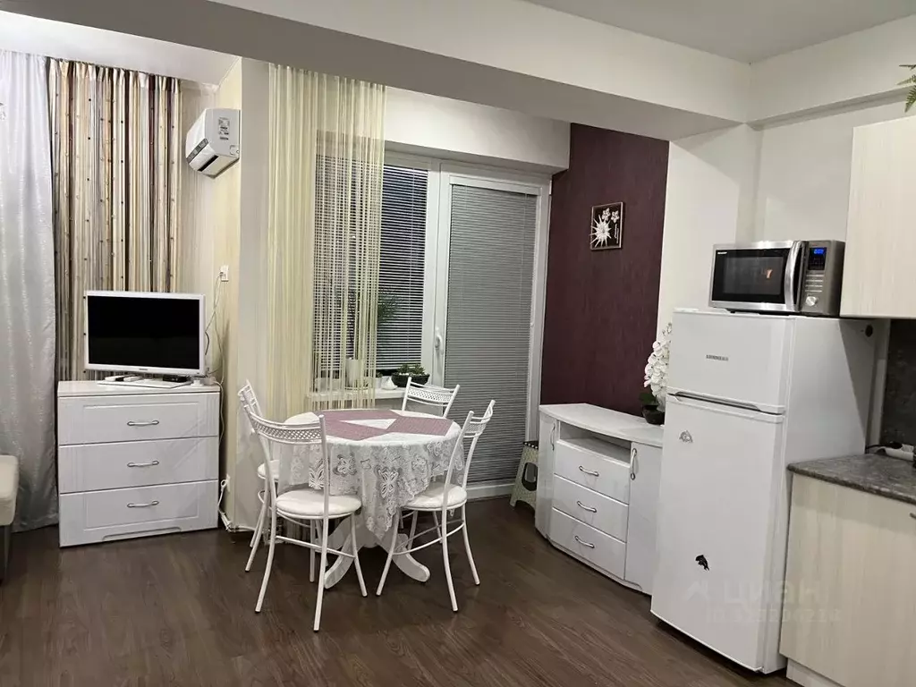 Студия Краснодарский край, Сочи городской округ, Дагомыс пгт ул. ... - Фото 2