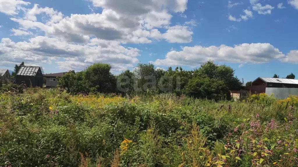 Участок в Хабаровский край, Хабаровский район, с. Сосновка Лесная ул. ... - Фото 2