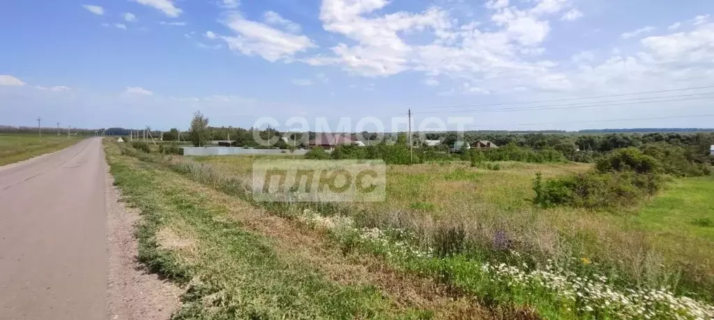 Участок в Рязанская область, Рязанский муниципальный округ, д. ... - Фото 2