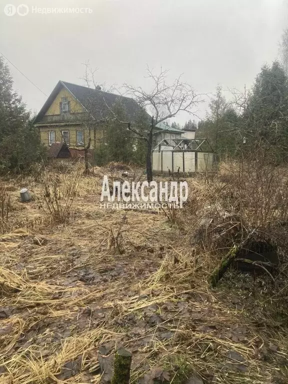 Участок в деревня Низовская, улица Кирова, 19 (16 м) - Фото 2