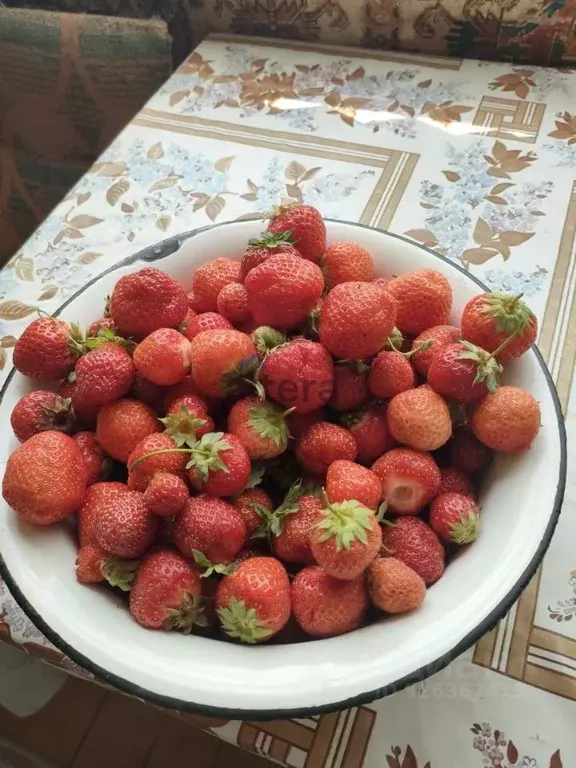 Дом в Татарстан, Казань Фреон СНТ, аллея 2-я (35 м) - Фото 2