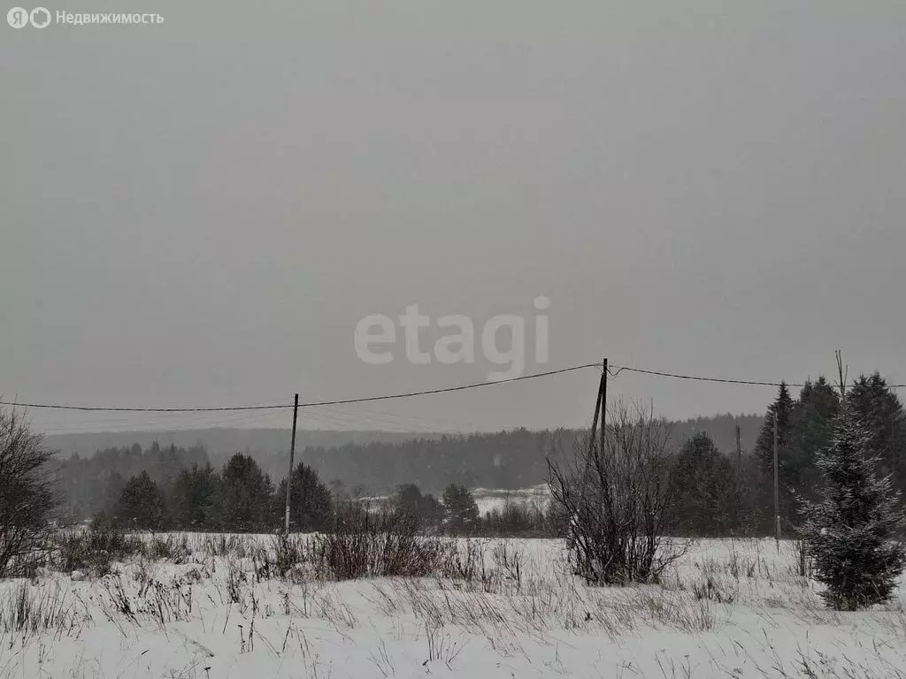 Дом в Нижний Тагил, СНТ № 3 ОАО НТМК, Сосновая улица (45 м) - Фото 2