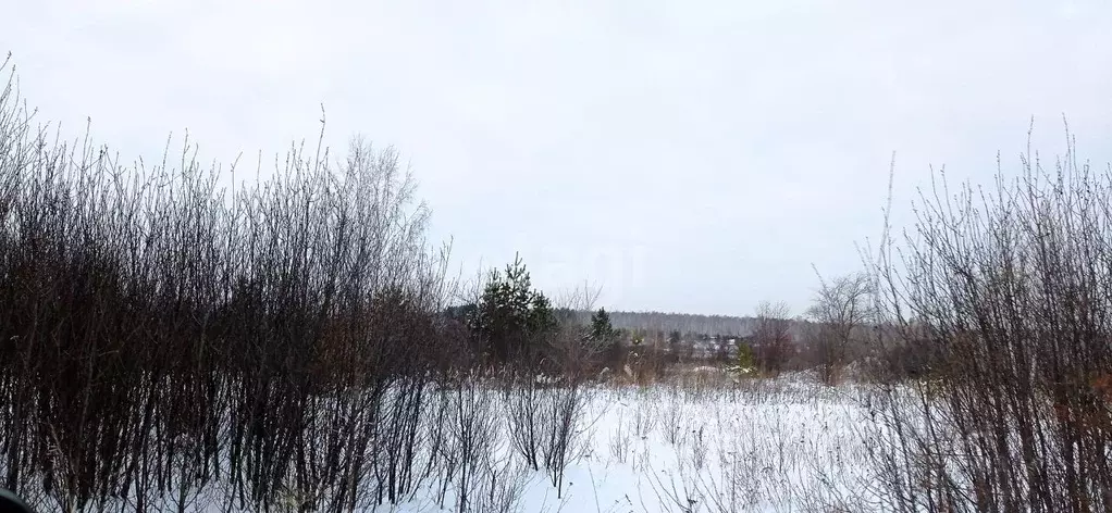 Участок в Челябинская область, Южноуральск Южное СНТ,  (8.0 сот.) - Фото 1