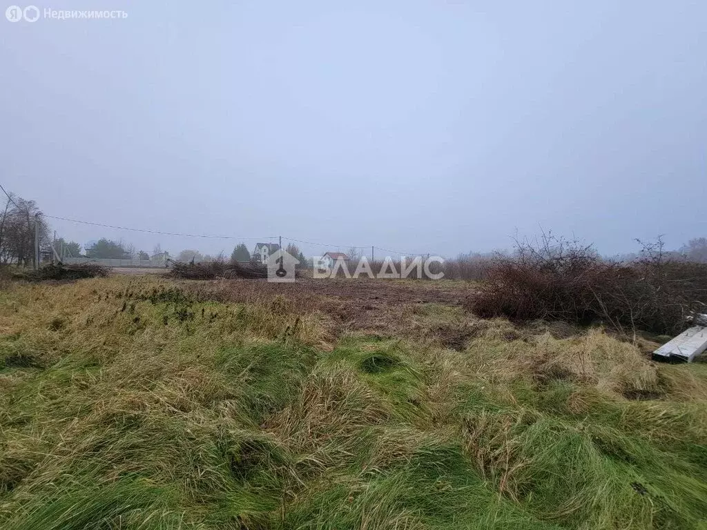 Участок в Калининградская область, Зеленоградский муниципальный округ, ... - Фото 1