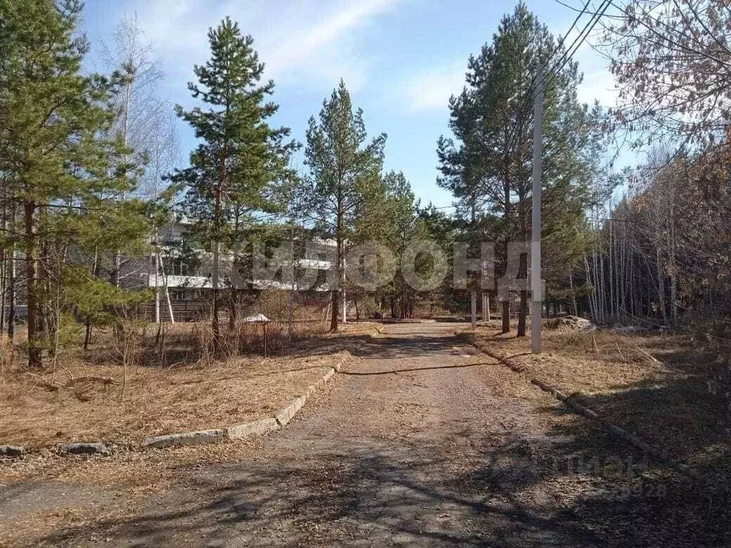 Участок в Новосибирская область, Новосибирский район, с. Боровое ул. ... - Фото 1