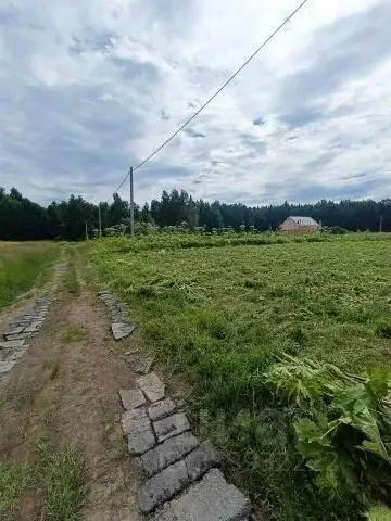 Участок в Московская область, Электросталь городской округ, пос. ... - Фото 2