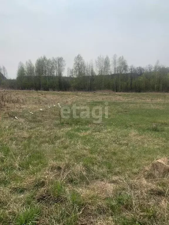 Участок в Свердловская область, Белоярский городской округ, пос. ... - Фото 1