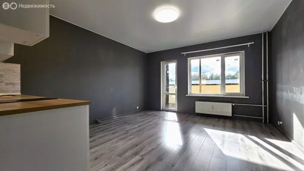 Квартира-студия: Колпино, Понтонная улица, 9к2 (28 м) - Фото 1