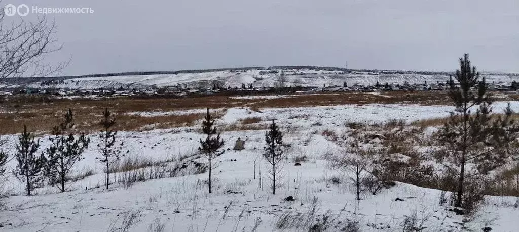 Участок в Красноярский край, Емельяновский муниципальный округ, СНТ ... - Фото 1