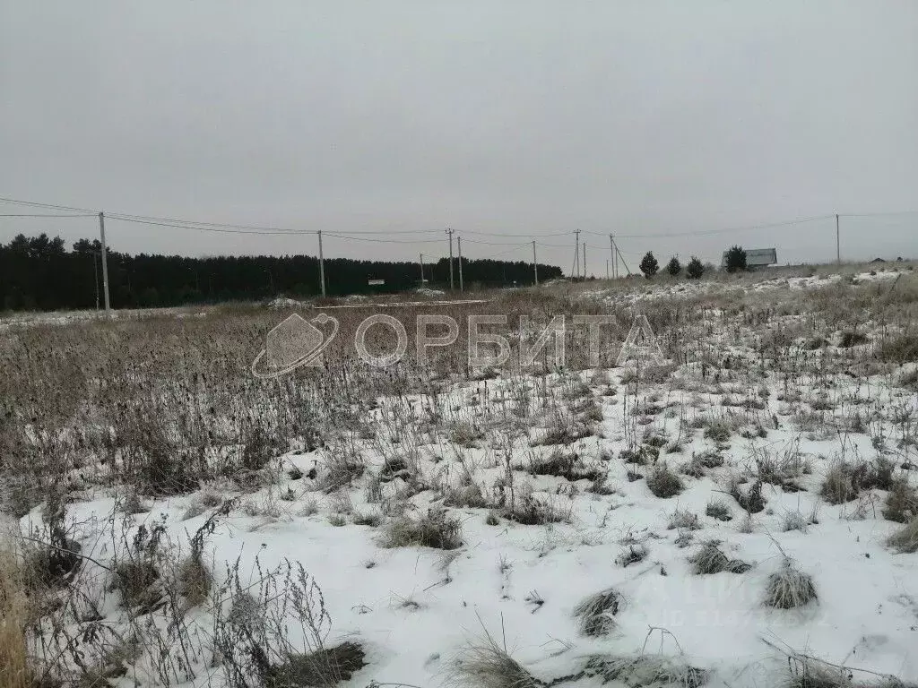 Участок в Тюменская область, Тюменский район, с. Борки  (10.0 сот.) - Фото 0