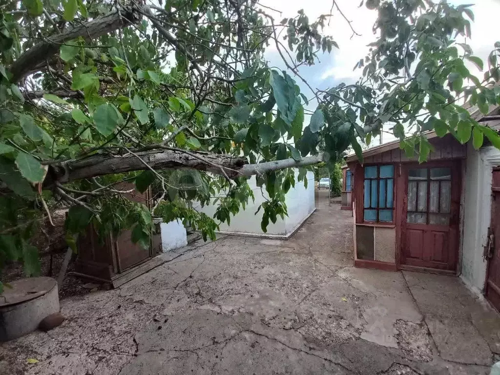 Дом в Крым, Красноперекопский район, с. Вишневка ул. Ленина, 74 (59 м) - Фото 1