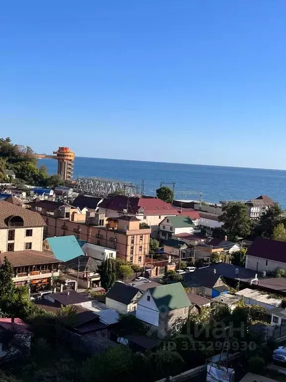 1-к кв. Краснодарский край, Сочи городской округ, Дагомыс пгт ул. ... - Фото 1