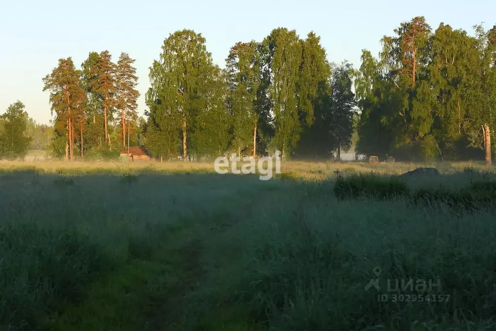 Участок в Ленинградская область, Приозерский район, Ларионовское ... - Фото 0