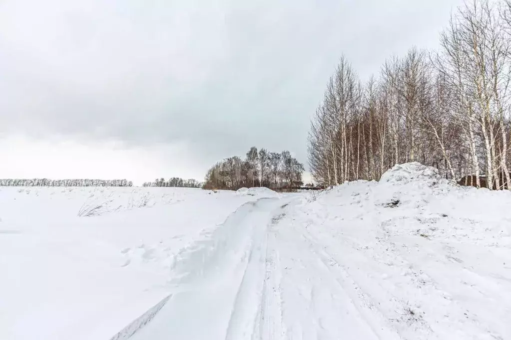 Участок в Новосибирская область, Бердск Марьин Лог СНТ,  (7.4 сот.) - Фото 0