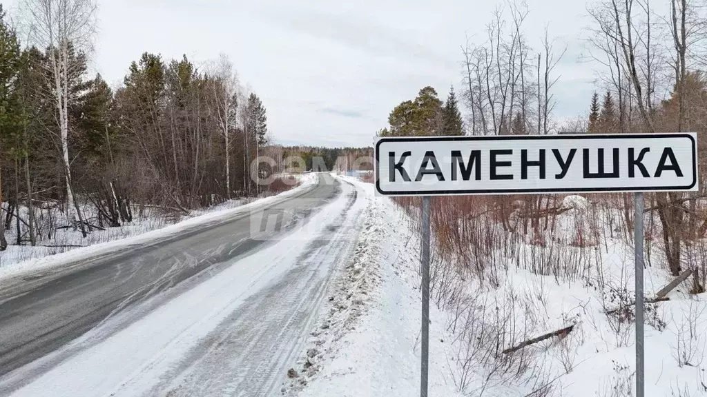Участок в Челябинская область, Верхнеуфалейский городской округ, пос. ... - Фото 2