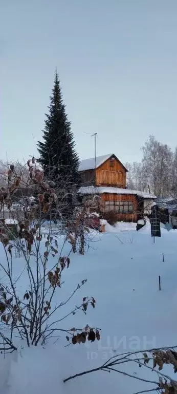 Участок в Тюменская область, Тюменский район, Искатель садовое ... - Фото 0