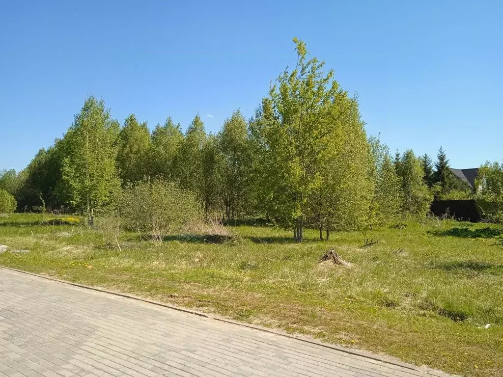 Участок в Московская область, Наро-Фоминский городской округ, д. ... - Фото 1