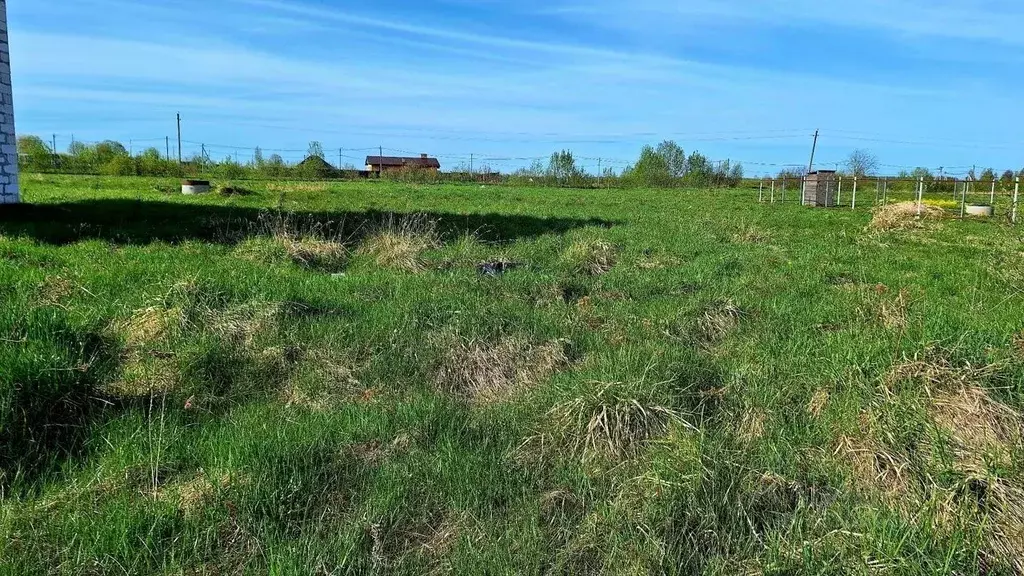 Участок в Новгородская область, Новгородский район, Савинское с/пос, ... - Фото 0