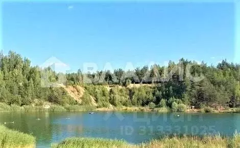 Участок в Владимирская область, Камешковский район, Сергеихинское ... - Фото 2