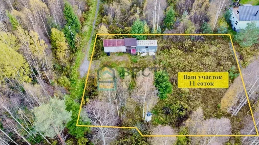 Участок в Ленинградская область, Приозерский район, Сосновское с/пос, ... - Фото 2