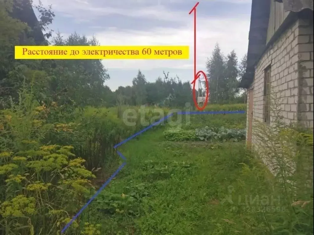 Участок в Брянская область, Брянский район, Снежское с/пос, с. ... - Фото 2