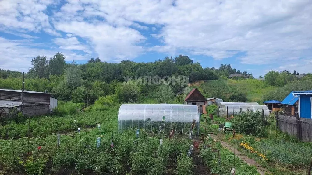 Дом в Алтайский край, Барнаул городской округ, Поселок Казенная ... - Фото 1